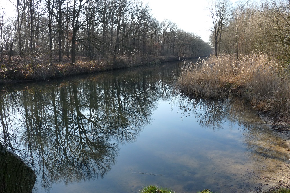 wandeling Meijel